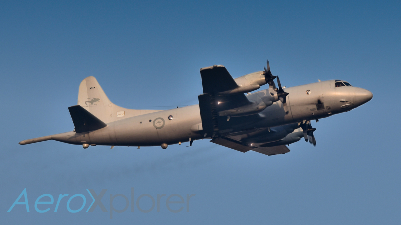 Photo of  A9-657 - Royal Australian Air Force Lockheed P-3 Orion at QPG on AeroXplorer Aviation Database