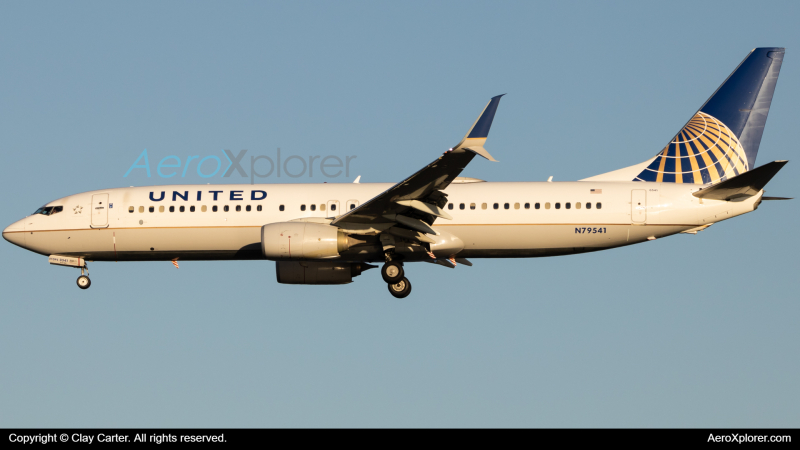 Photo of N79541 - United Airlines Boeing 737-800 at DCA on AeroXplorer Aviation Database