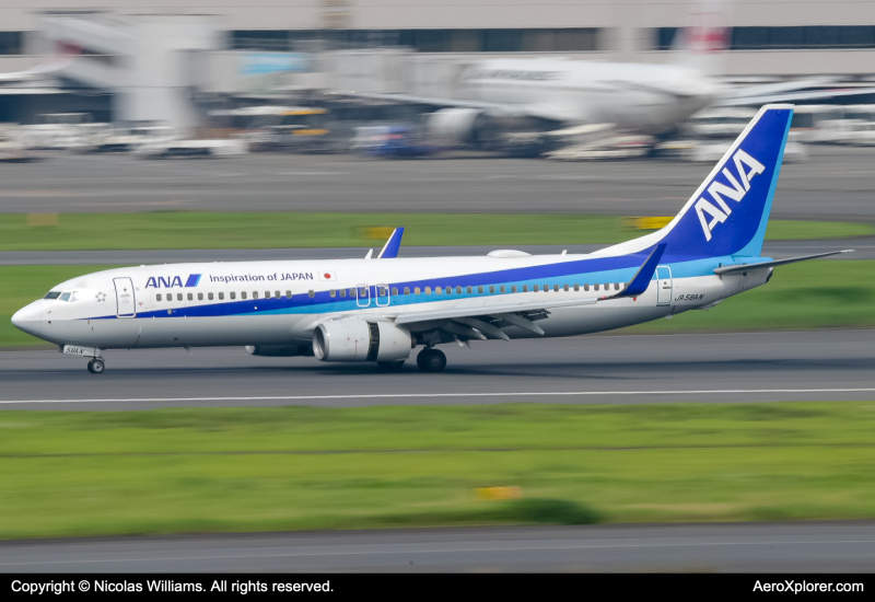 Photo of JA58AN - All Nippon Airways Boeing 737-800 at HND on AeroXplorer Aviation Database
