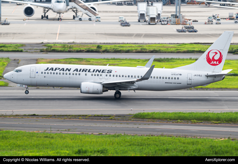 Photo of JA318J - Japan Airlines Boeing 737-800 at HND on AeroXplorer Aviation Database