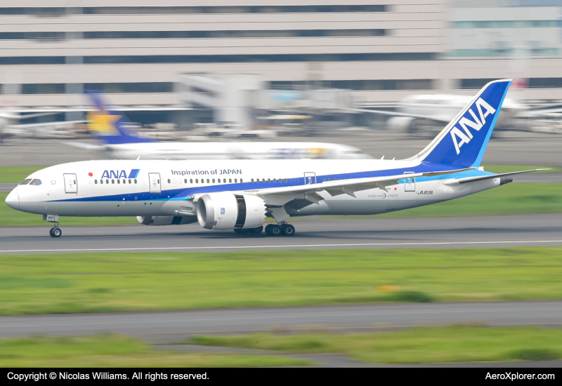 Photo of JA813A - All Nippon Airways Boeing 787-8 at HND on AeroXplorer Aviation Database