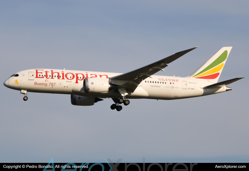 Photo of ET-AOV - Ethiopian Airlines Boeing 787-8 at GRU on AeroXplorer Aviation Database