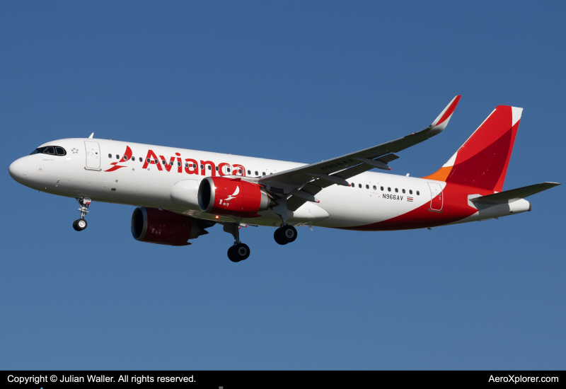 Photo of N966AV - Avianca Airbus A320NEO at LAX on AeroXplorer Aviation Database