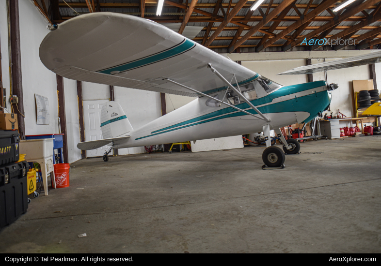 Photo of N89033 - PRIVATE Cessna 140 at GAI on AeroXplorer Aviation Database