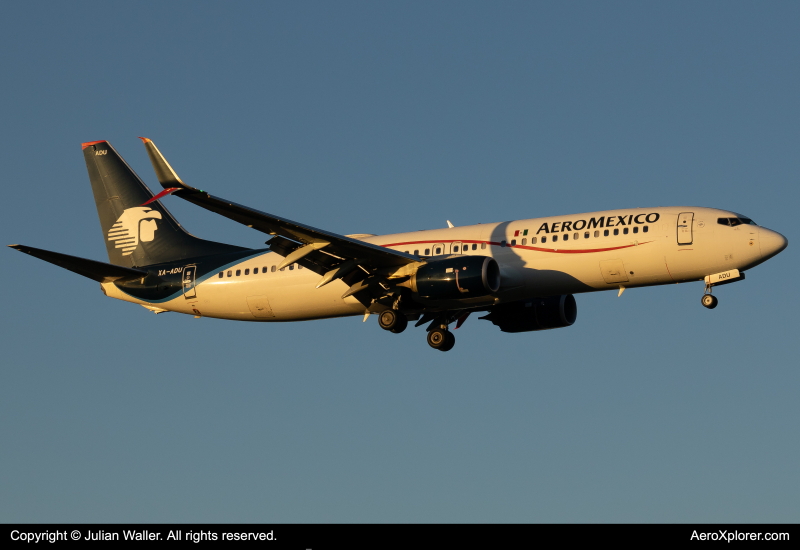 Photo of XA-ADU - Aeromexico Boeing 737-800 at MIA on AeroXplorer Aviation Database