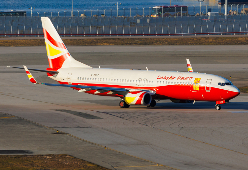 Photo of B-7993 - Lucky Air Boeing 737-800 at HKG on AeroXplorer Aviation Database