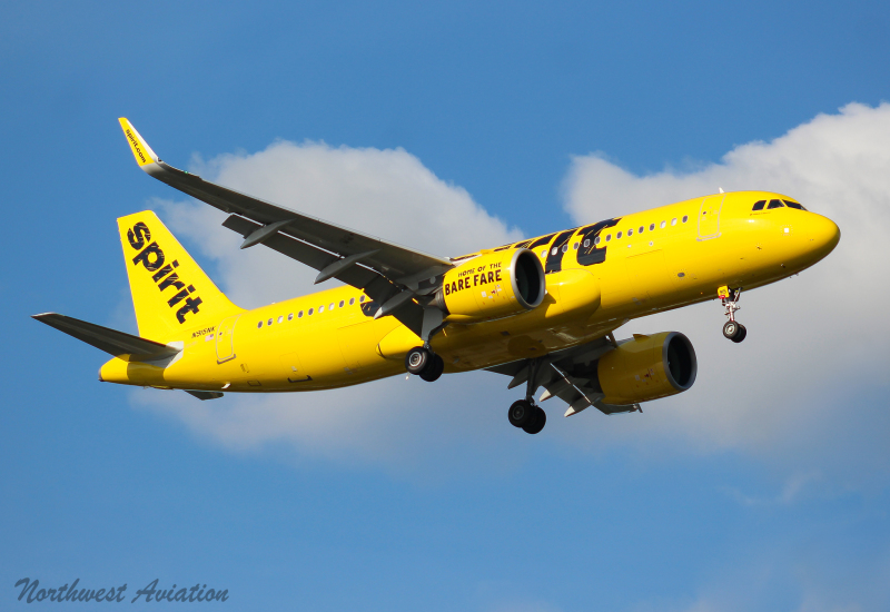Photo of N915NK - Spirit Airlines Airbus A320NEO at SEA on AeroXplorer Aviation Database