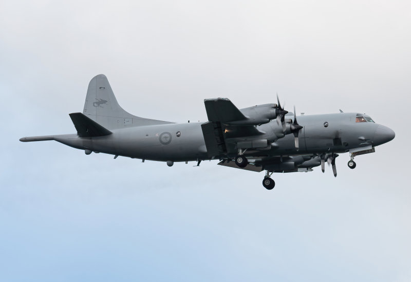 Photo of A9-660 - Royal Australian Air Force Lockheed P-3 Orion at QPG on AeroXplorer Aviation Database