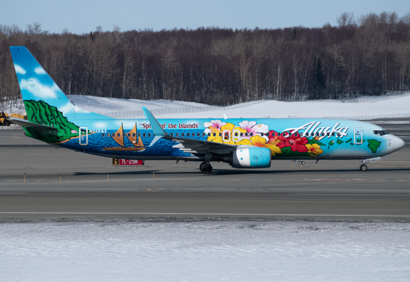 Photo of N560AS - Alaska Airlines Boeing 737-800 at ANC on AeroXplorer Aviation Database