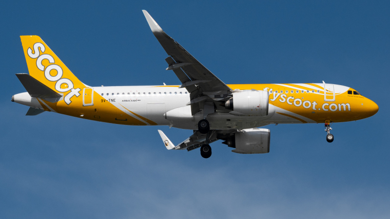 Photo of 9V-TNE - Scoot Airbus A320NEO at SIN on AeroXplorer Aviation Database