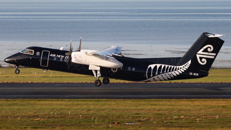 Photo of ZK-NEM - Air New Zealand De Havilland Dash-8 q300 at AKL on AeroXplorer Aviation Database