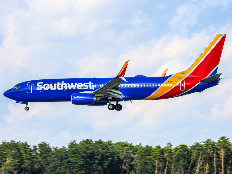 Photo of N8603F - Southwest Airlines Boeing 737-800 at Bwi on AeroXplorer Aviation Database