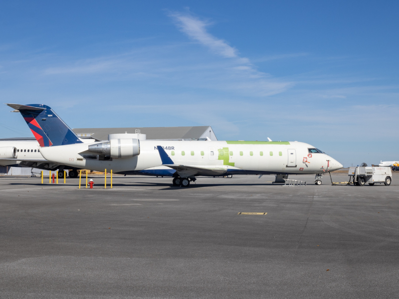 Photo of N684BR - Delta Connection Mitsubishi CRJ-200 at DHN on AeroXplorer Aviation Database