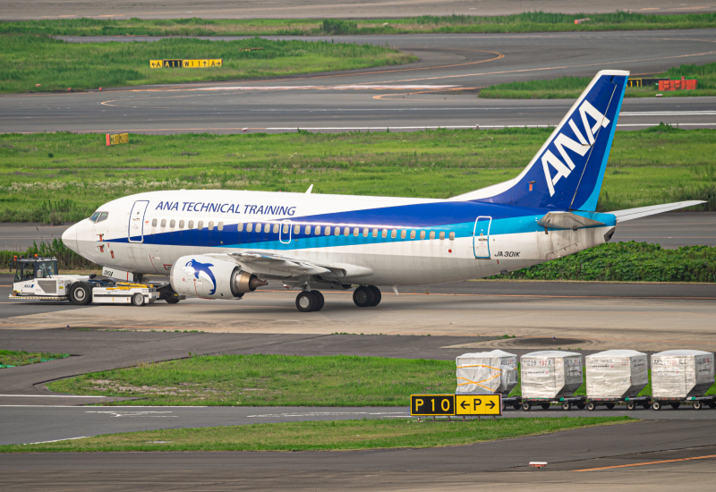 Photo of JA301K - All Nippon Airways Boeing 737-500 at HND on AeroXplorer Aviation Database