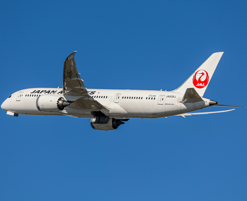 Photo of JA836J - Japan Airlines Boeing 787-8 at KSAN on AeroXplorer Aviation Database