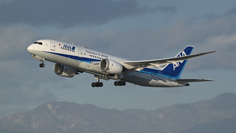 Photo of JA813A - All Nippon Airways Boeing 787-8 at LAX on AeroXplorer Aviation Database
