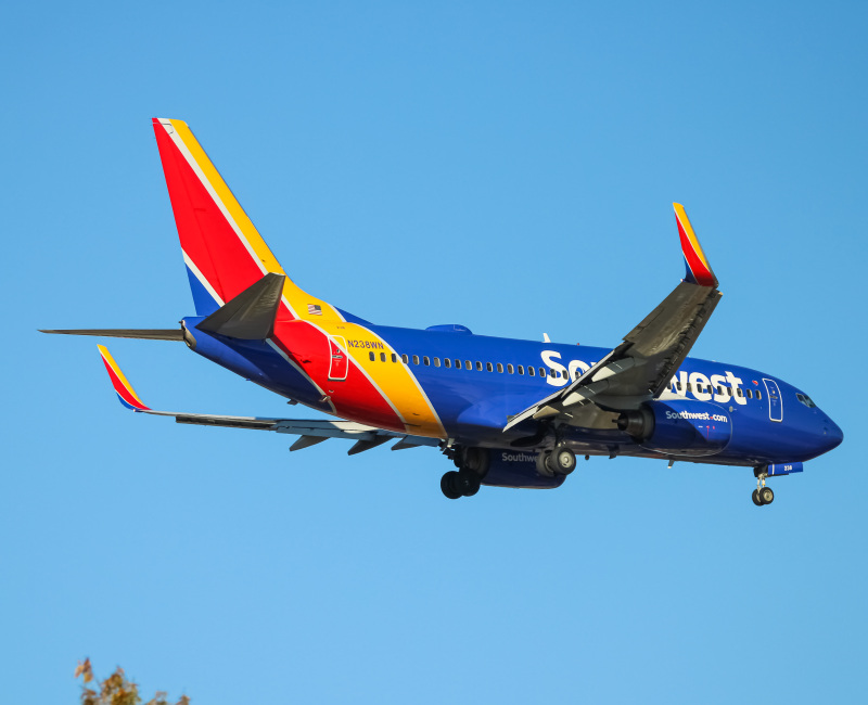 Photo of N238WN - Southwest Airlines Boeing 737-700 at BWI on AeroXplorer Aviation Database
