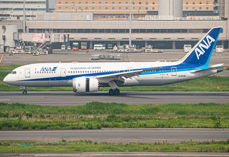 Photo of JA803A - All Nippon Airways Boeing 787-8 at HND on AeroXplorer Aviation Database