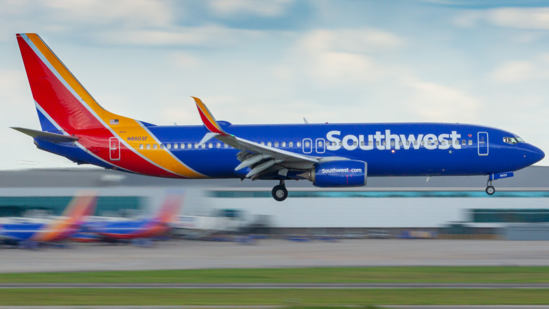 Photo of N8603F - Southwest Airlines Boeing 737-800 at HOU on AeroXplorer Aviation Database