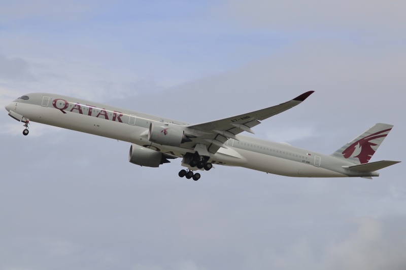 Photo of A7-ANR - Qatar Airways Airbus A350-1000 at AKL on AeroXplorer Aviation Database