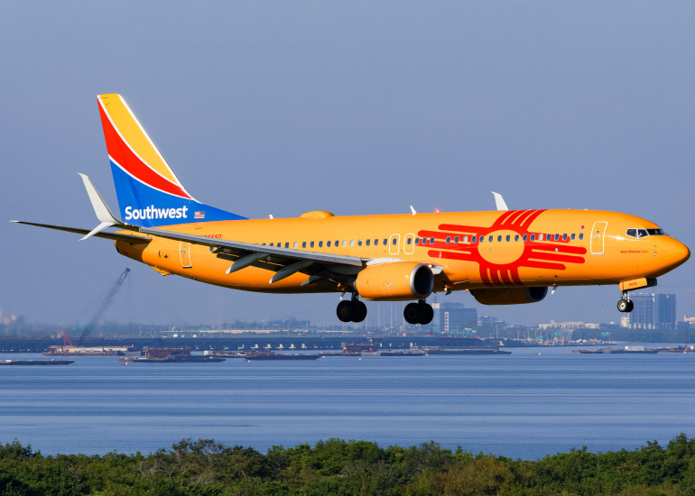 Photo of N8655D - Southwest Airlines Boring 737-800 at TPA on AeroXplorer Aviation Database