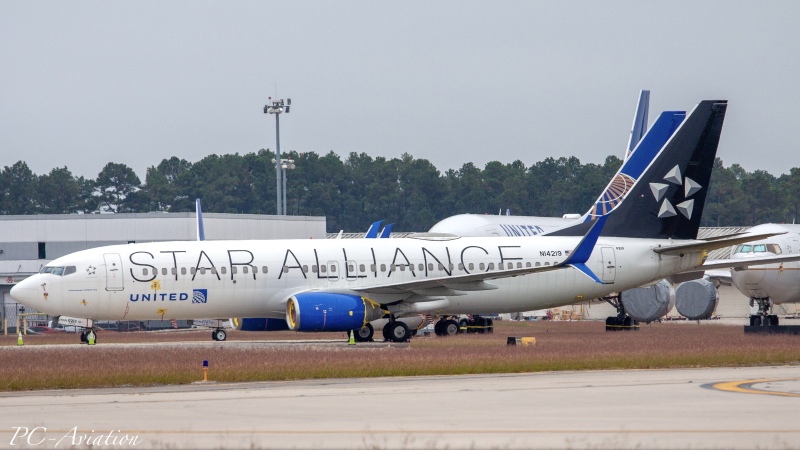 Photo of N14219 - United Airlines Boeing 737-800 at IAH on AeroXplorer Aviation Database