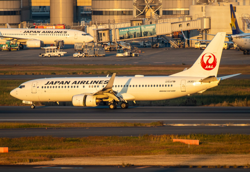 Photo of JA302J - Japan Airlines Boeing 737-800 at HND on AeroXplorer Aviation Database