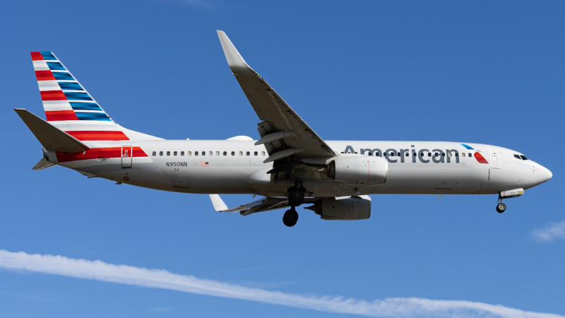 Photo of N950NN - American Airlines Boeing 737-800 at TPA on AeroXplorer Aviation Database