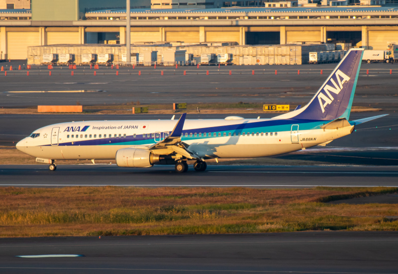 Photo of JA66AN - All Nippon Airways Boeing 737-800 at HND on AeroXplorer Aviation Database
