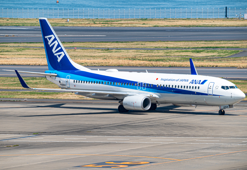 Photo of JA62AN - All Nippon Airways Boeing 737-800 at HND on AeroXplorer Aviation Database