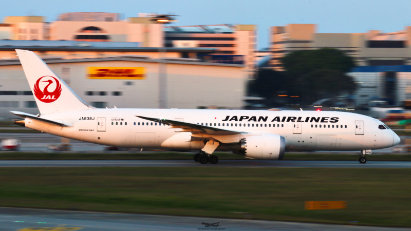 Photo of JA838J - Japan Airlines  Boeing 787-8 at SIN on AeroXplorer Aviation Database
