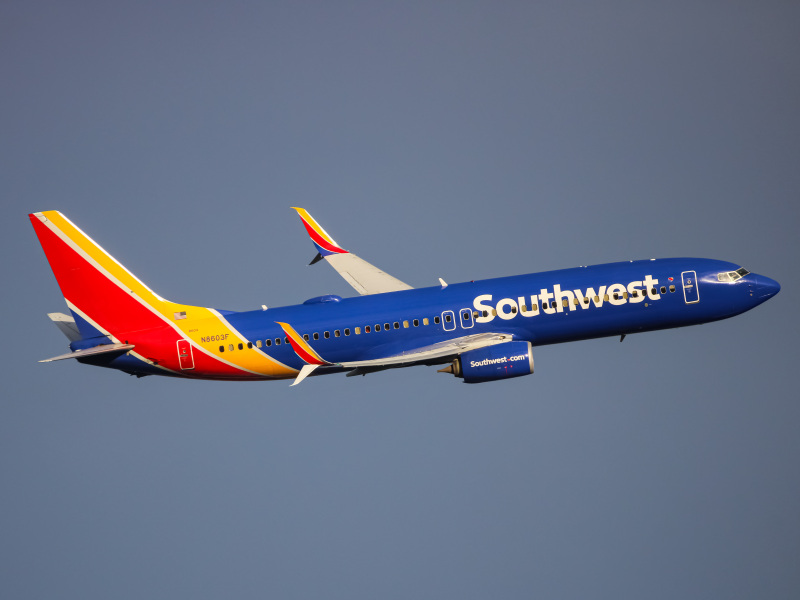 Photo of N8603F - Southwest Airlines Boeing 737-800 at BWI on AeroXplorer Aviation Database