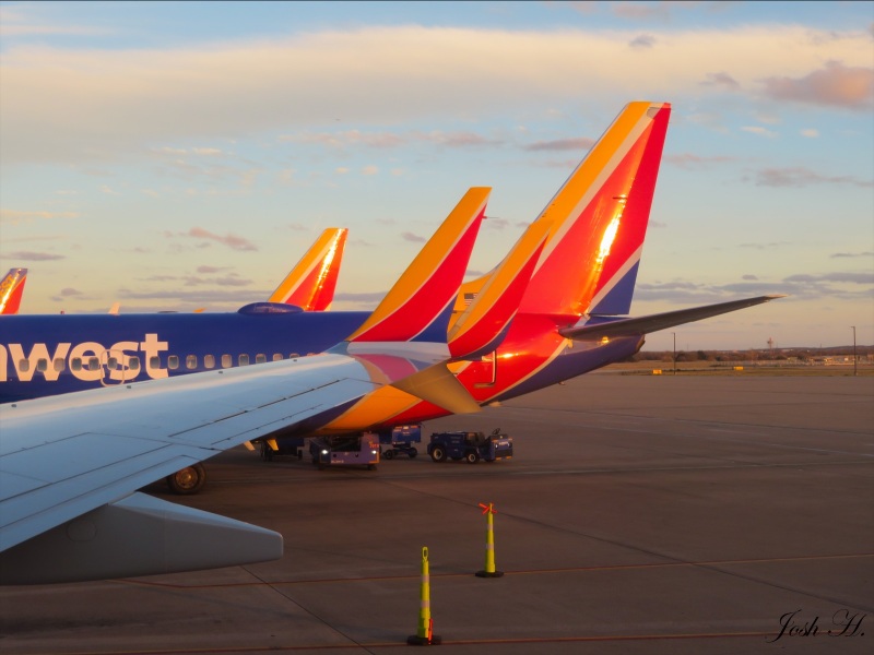 Photo of N8716B - Southwest Airlines Boeing 737 MAX 8 at AUS on AeroXplorer Aviation Database