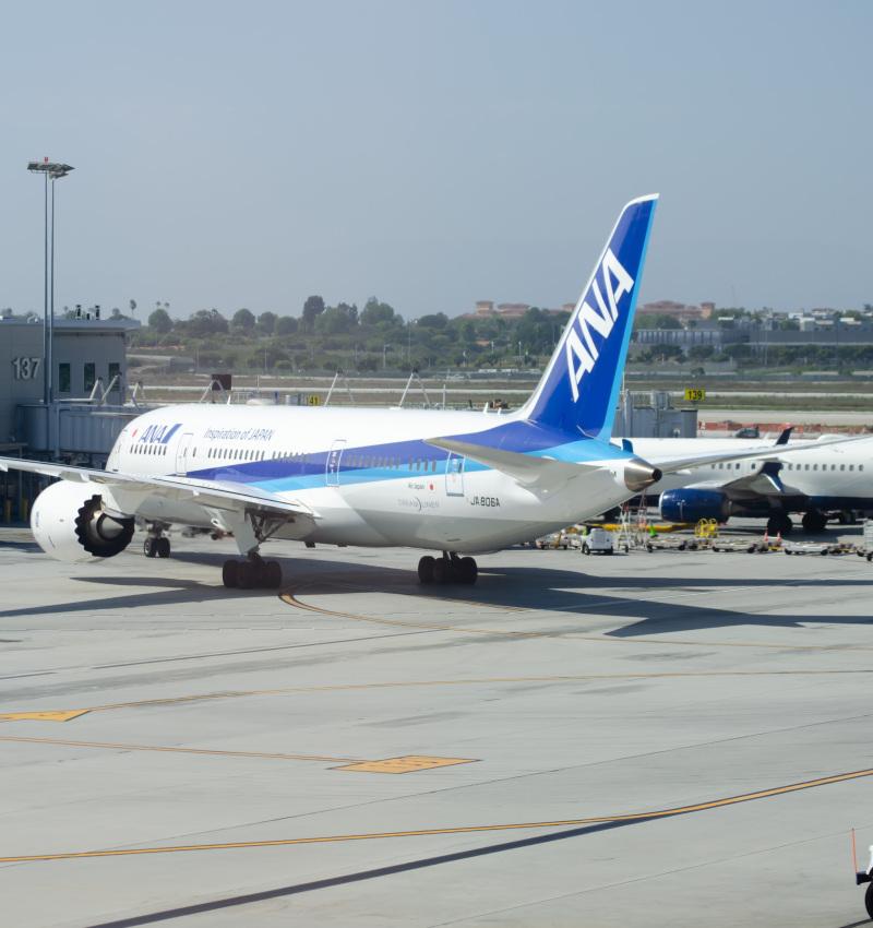 Photo of JA806A - All Nippon Airways Boeing 787-8 at LAX on AeroXplorer Aviation Database