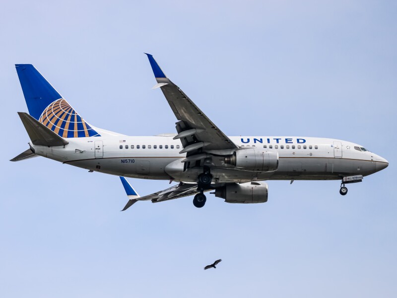 Photo of N15710 - United Airlines Boeing 737-700 at IAD on AeroXplorer Aviation Database