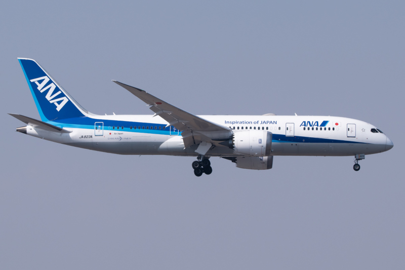 Photo of JA823A - All Nippon Airways Boeing 787-8 at MEX on AeroXplorer Aviation Database Photo of JA823A - All Nippon Airways Boeing 787-8 at MEX on AeroXplorer Aviation Database