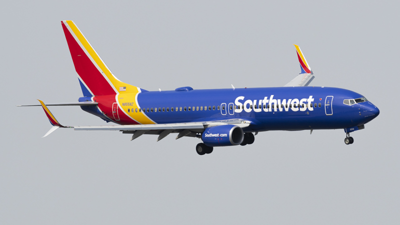 Photo of N8558Z - Southwest Airlines Boeing 737-800 at DCA on AeroXplorer Aviation Database