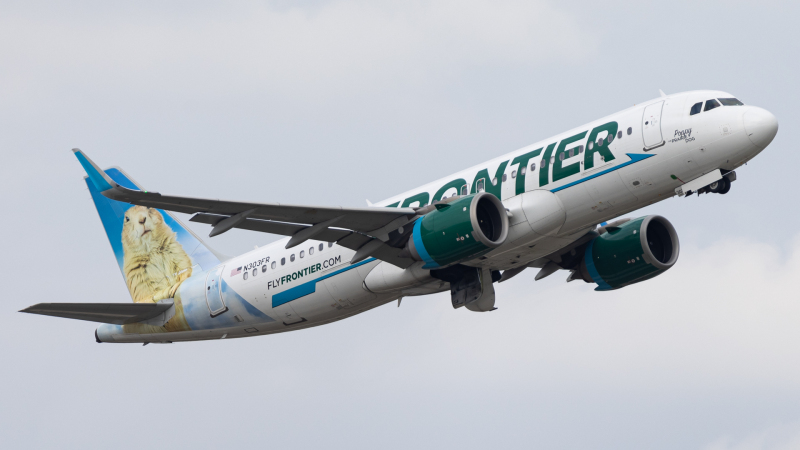 Photo of N303FR - Frontier Airlines Airbus A320NEO at TPA on AeroXplorer Aviation Database