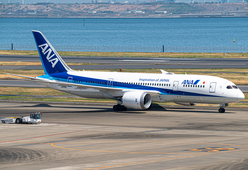 Photo of JA816A - All Nippon Airways Boeing 787-8 at HND on AeroXplorer Aviation Database