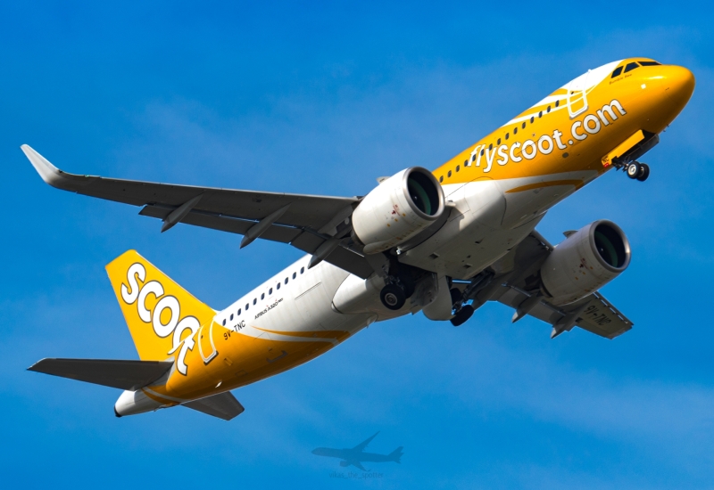 Photo of 9V-TNC - Scoot Airbus A320NEO at SIN on AeroXplorer Aviation Database