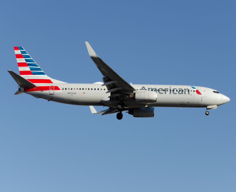 Photo of N950AN - American Airlines Boeing 737-800 at EWR on AeroXplorer Aviation Database