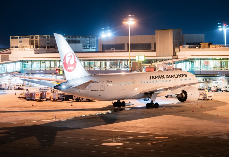 Photo of JA836J - Japan Airlines Boeing 787-8 at SIN on AeroXplorer Aviation Database