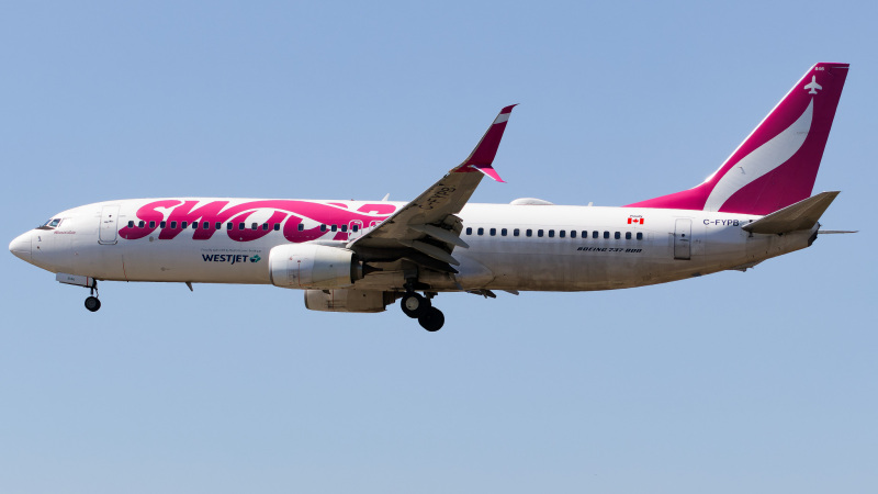 Photo of C-FYPB - Swoop Boeing 737-800 at TPA on AeroXplorer Aviation Database