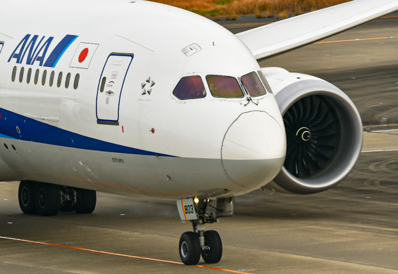Photo of JA803A - All Nippon Airways Boeing 787-8 at HND on AeroXplorer Aviation Database