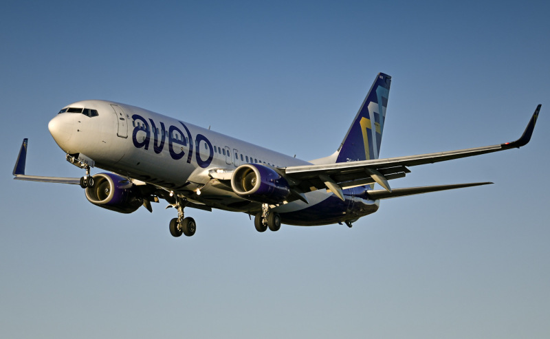 Photo of N808VL - Avelo Airlines Boeing 737-800 at DAB on AeroXplorer Aviation Database