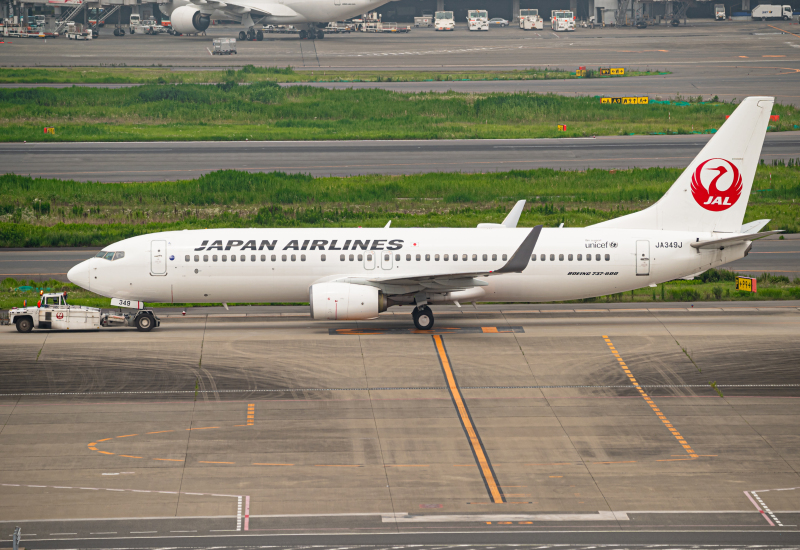 Photo of JA349J - Japan Airlines Boeing 737-800 at HND on AeroXplorer Aviation Database