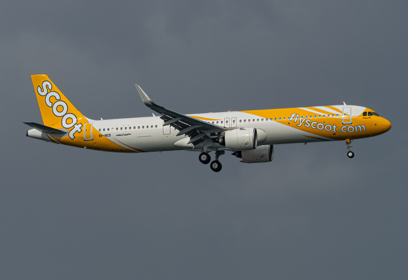 Photo of 9V-NCD - Scoot A321NEO at SIN on AeroXplorer Aviation Database