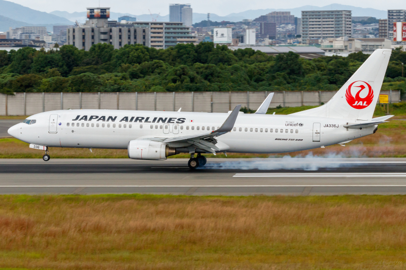 Photo of JA336J - Japan Airlines Boeing 737-800 at ITM on AeroXplorer Aviation Database