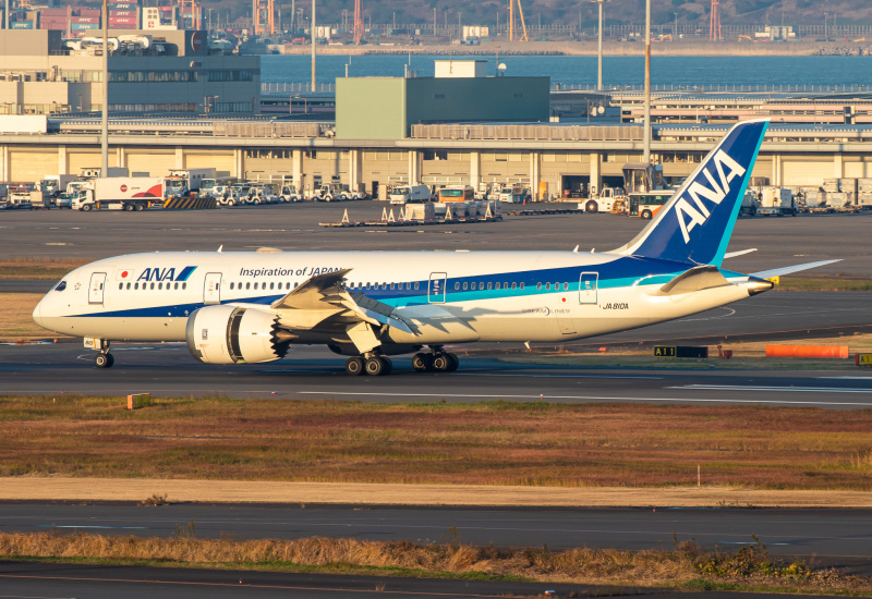 Photo of JA810A - All Nippon Airways Boeing 787-8 at HND on AeroXplorer Aviation Database