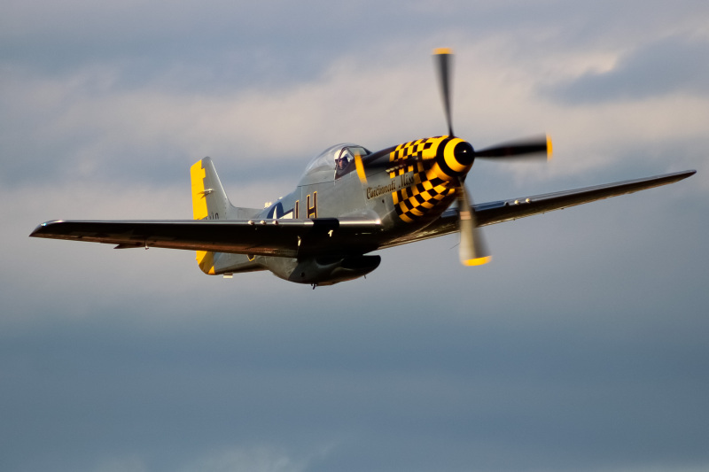 Photo of N83KD - PRIVATE North American P-51 Mustang at I69 on AeroXplorer Aviation Database